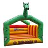 Luchtkussen Groene Draak
