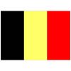 Mastvlag Belgie afm. 2 x 3 mtr geschikt voor decoratie of vlaggenmasten van 7-8 meter.