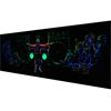 Decor doek. Glow in the Dark aanlichten met UV licht