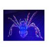 Decor doek Spider Fluoriserend afm. 2.7 x 1.9 mtr