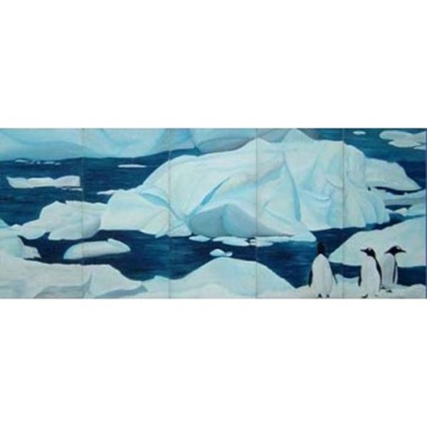 decor Antartica  incl. decorsteunen. afm. 6.25 x 2.5 mtr.