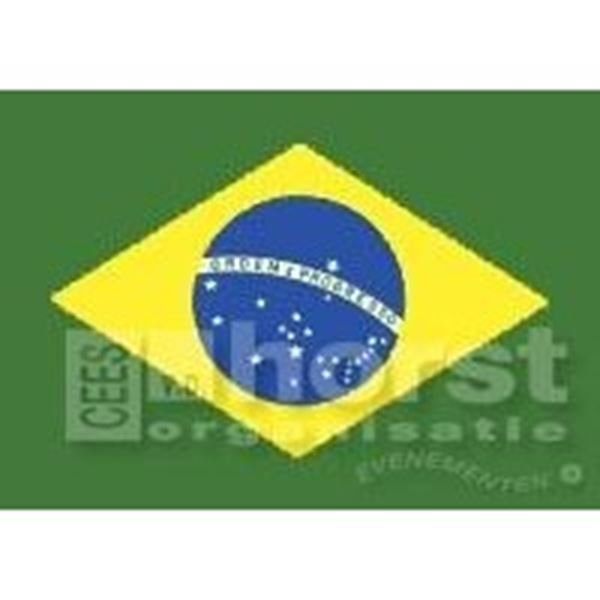 Vlag Brazilië  met de afm. 1 x 1,5 mtr is een z.g.n. gevel vlag maar ook heel geschikt voor decoratie.