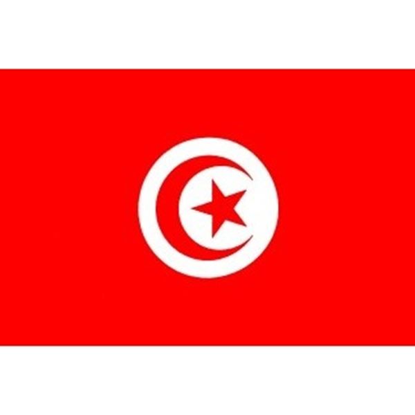 Gevel vlag Tunesie afmetingen 1 , 50 x 1 meter.