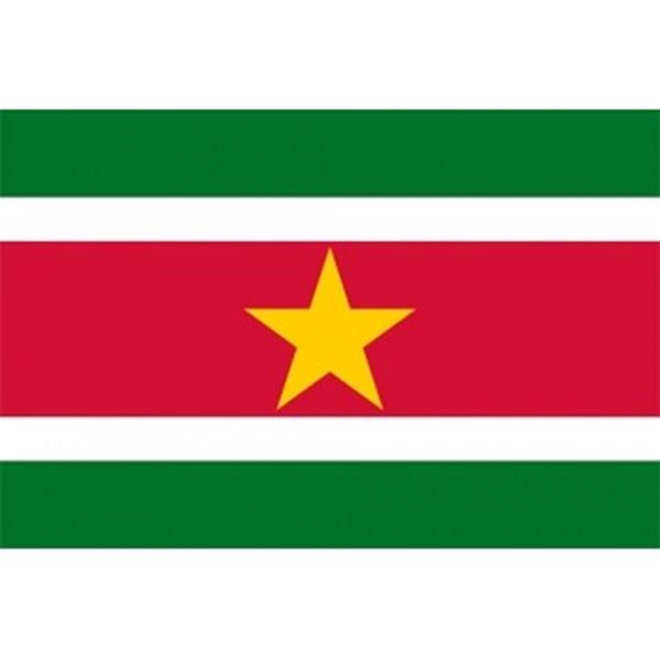 Vlag Suriname afmetingen 1 x 1,5 mtr. gevelvlag