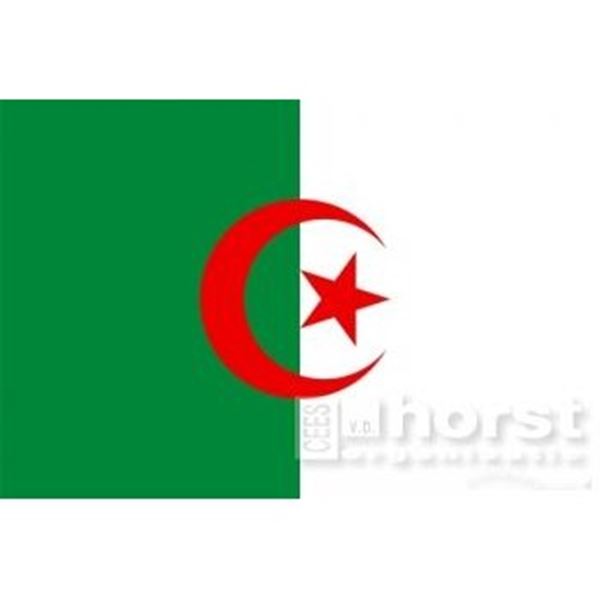 Vlag Algerije afm. 1 x 1,5 mtr.