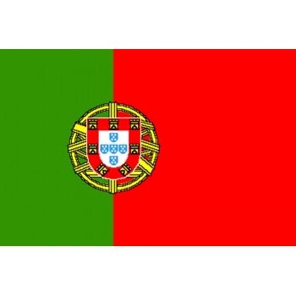 Vlag Portugal met de afmetingen 0,9 x 1,45 meter een kleine gevel vlag maar ook heel geschikt als  buffet decoratie.