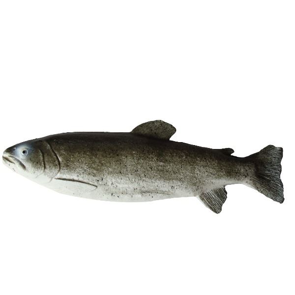 Forel voor decoratie