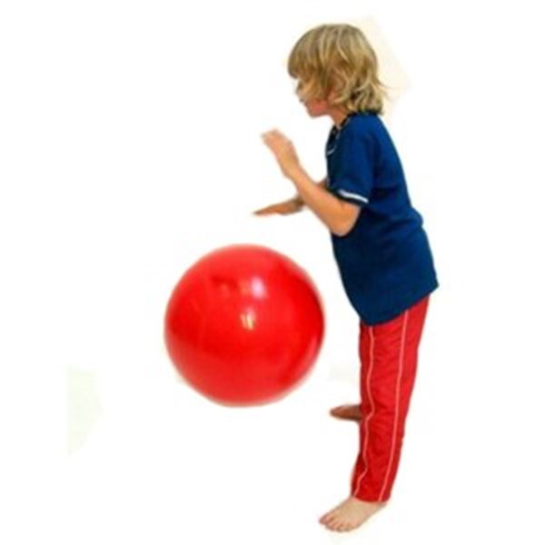 Gymnic bal doorsnede 55 cm.