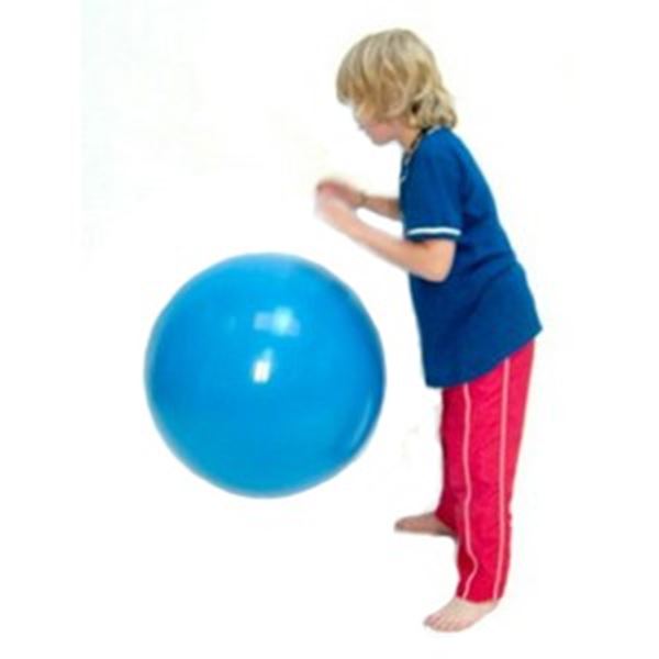 Gymnic bal doorsnede 65 cm