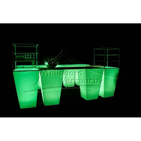Blad champagne koeler allen te huur in combinatie met art. 123056 Blad champagne koeler allen te huur in combinatie met art. 123056