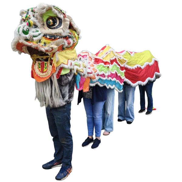 Chinese draak voor 2 tot 5 personen.