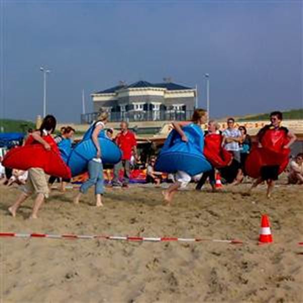Rokjes Bal - Norm. (set:2x4)