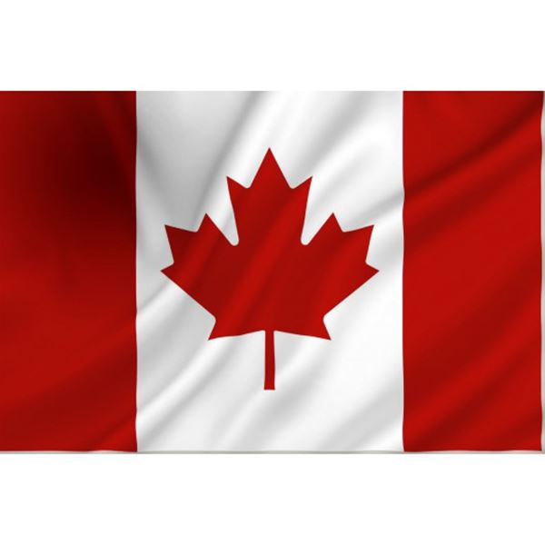 Vlag Canada met fam. 2 x 3 meter is een mastvlag.