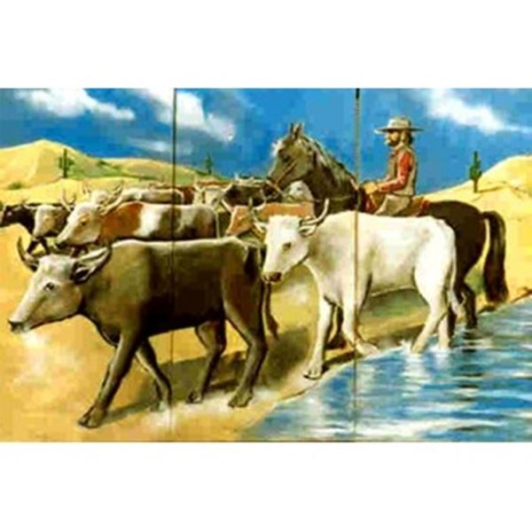 Western decor afm.3,75 x 2,5 mtr
